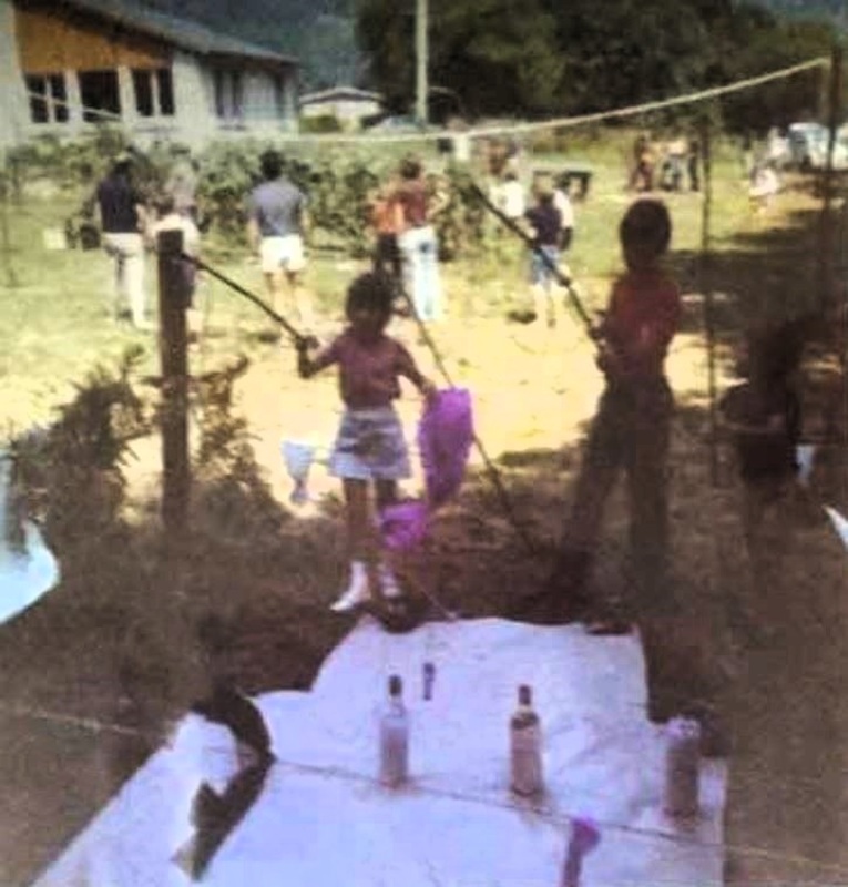 19810800 2 journee parents web